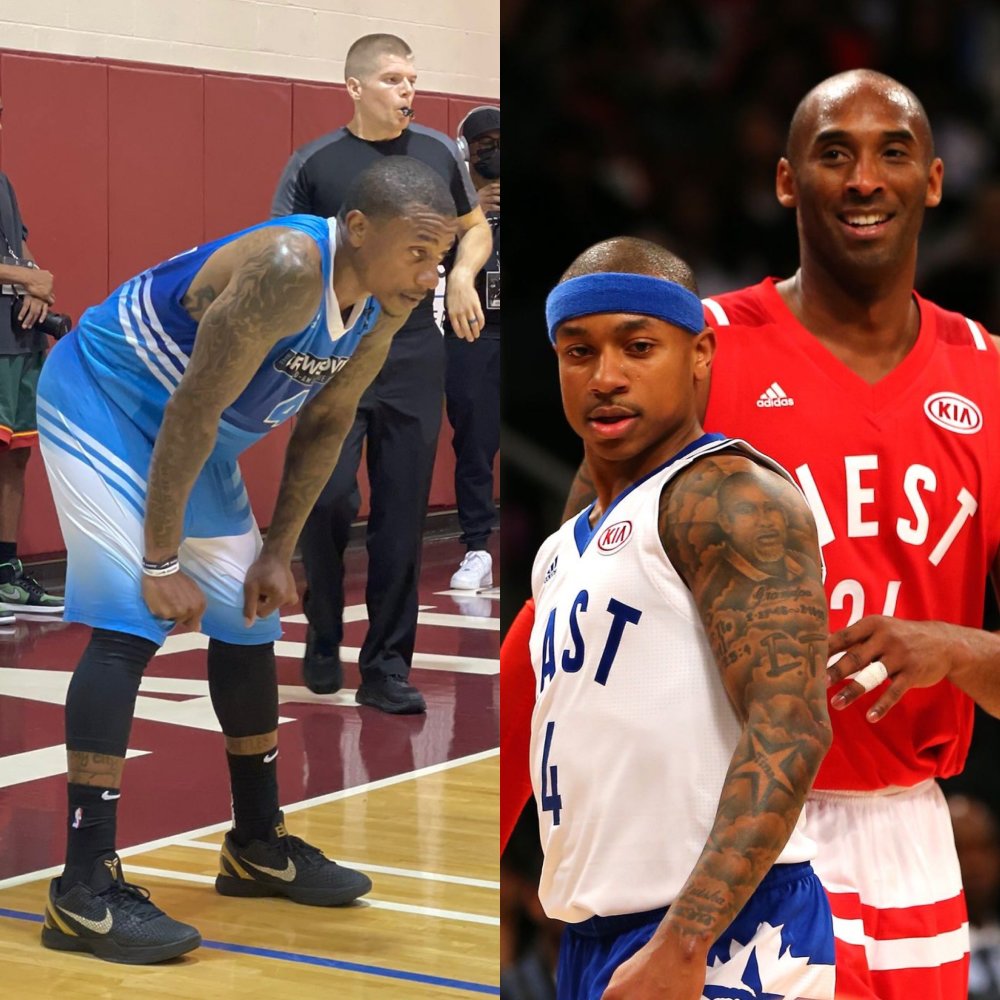 与杨适配的 与杨适配的